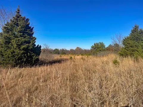 0004 Bristlecone Rd, Morris, OK 74445 photo 18