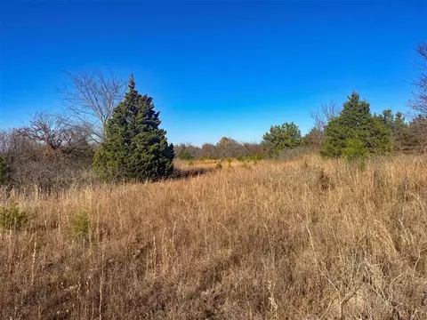 0004 Bristlecone Rd, Morris, OK 74445 photo 16