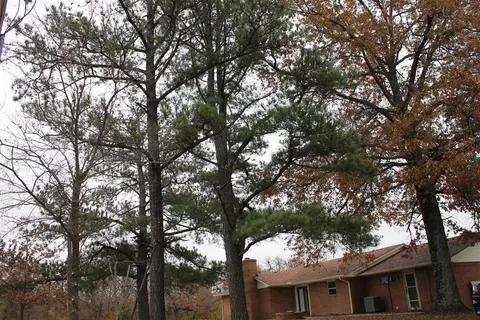 1707 W Walnut St, Tecumseh, OK 74873
