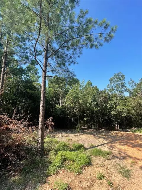 978 Lukfata Fork Trl, Broken Bow, OK 74728 photo 10