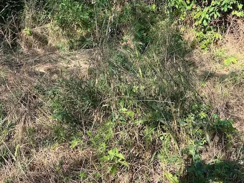 0000 E 1020 Rd, Castle, OK 74833 photo 13