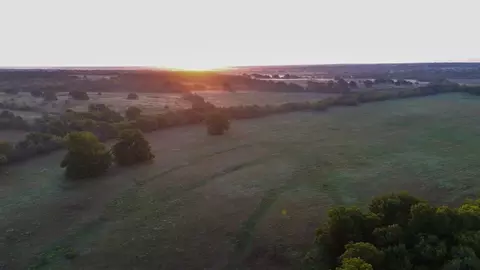 Coker Road, Macomb, OK 74852 photo 29