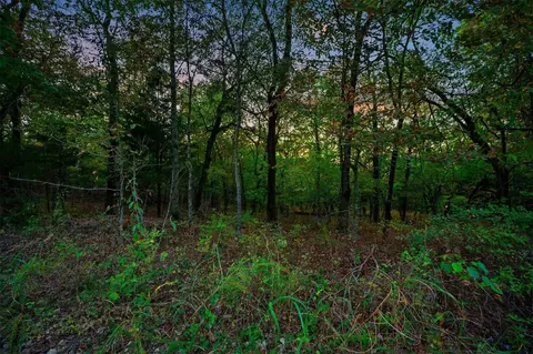 River Bluff Road, Idabel, OK 74745 photo 16