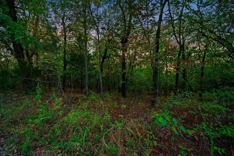 River Bluff Road, Idabel, OK 74745 photo 19
