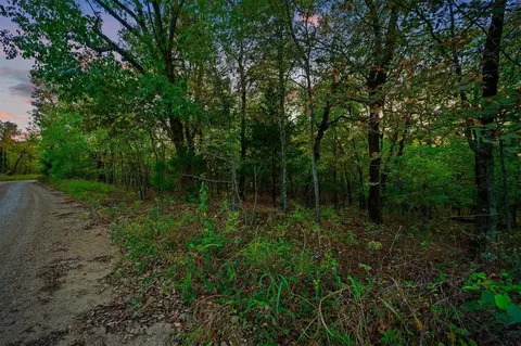 River Bluff Road, Idabel, OK 74745 photo 17