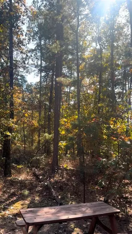 118 Pilot Fish Rd, Broken Bow, OK 74728 photo 18