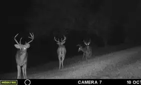 37660 Romulus Rd, Macomb, OK 74852 photo 34