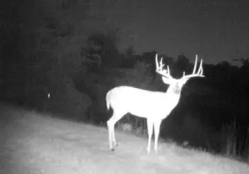 37660 Romulus Rd, Macomb, OK 74852 photo 38