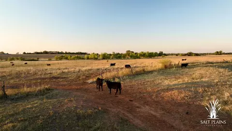 19307 E Centennial Rd, Garber, OK 73738 photo 40
