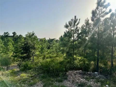 136 Southern Spruce Trl, Broken Bow, OK 74728 photo 4