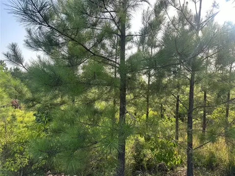 136 Southern Spruce Trl, Broken Bow, OK 74728 photo 3