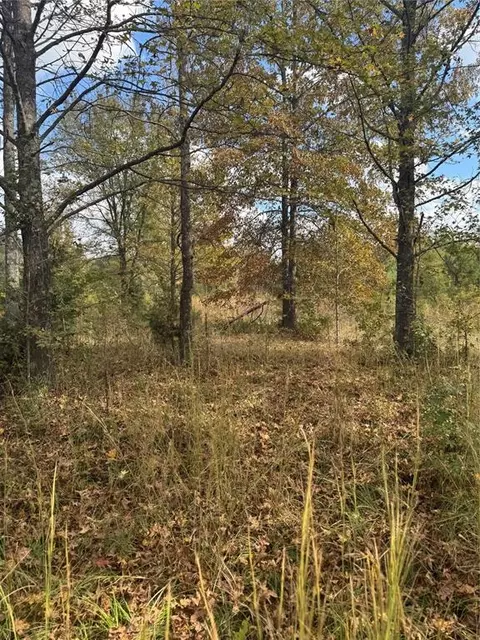 315 Rosebud Rd, Broken Bow, OK 74728 photo 3