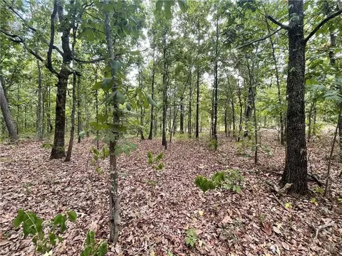 686 Woodland Hills Trl, Broken Bow, OK 74728