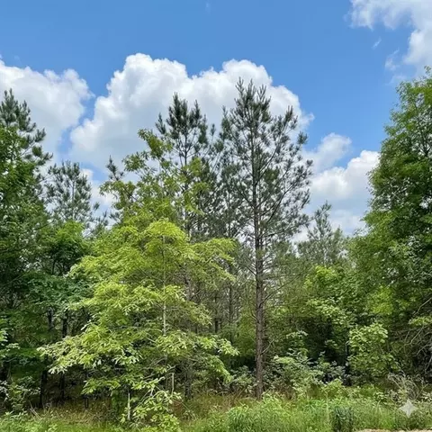 659 Timber Creek Trails South Xi, Broken Bow, OK 74728