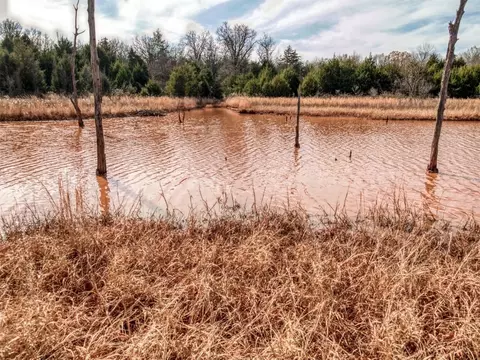 Mars Hill Rd, Macomb, OK 74852 photo 5