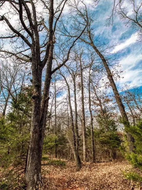 Mars Hill Rd, Macomb, OK 74852 photo 42