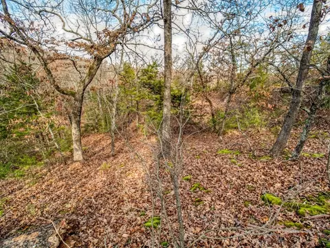 Mars Hill Rd, Macomb, OK 74852 photo 4