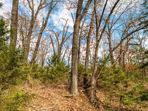 Mars Hill Rd, Macomb, OK 74852 photo 6