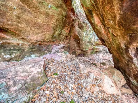 Mars Hill Rd, Macomb, OK 74852 photo 32