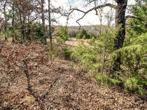 Mars Hill Rd, Macomb, OK 74852 photo 41