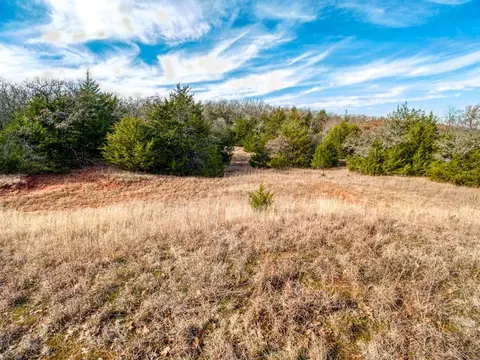 Mars Hill Rd, Macomb, OK 74852 photo 34