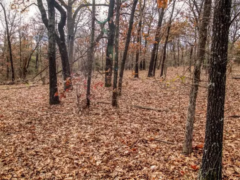 Mars Hill Rd, Macomb, OK 74852 photo 7