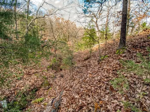 Mars Hill Rd, Macomb, OK 74852 photo 12