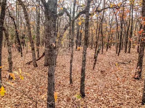 Mars Hill Rd, Macomb, OK 74852 photo 26