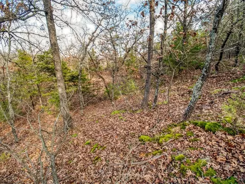 Mars Hill Rd, Macomb, OK 74852 photo 33