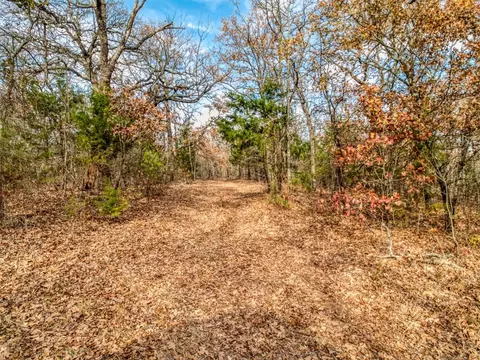 Mars Hill Rd, Macomb, OK 74852 photo 30