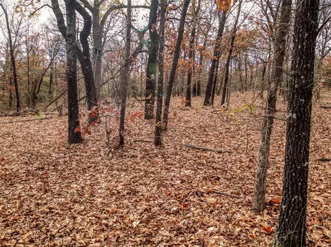 Mars Hill Rd, Macomb, OK 74852 photo 7