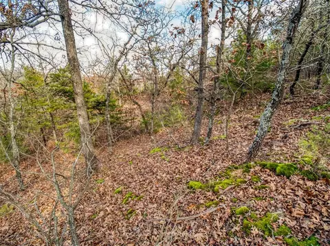 Mars Hill Rd, Macomb, OK 74852 photo 33