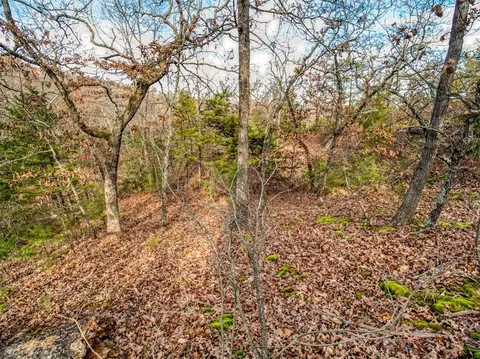 Mars Hill Rd, Macomb, OK 74852 photo 4
