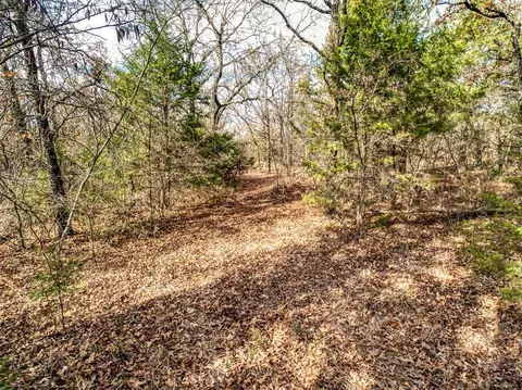 Mars Hill Rd, Macomb, OK 74852 photo 38