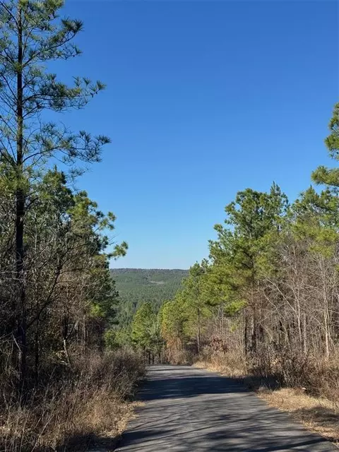 63 Acorn Ct, Broken Bow, OK 74728 photo 2