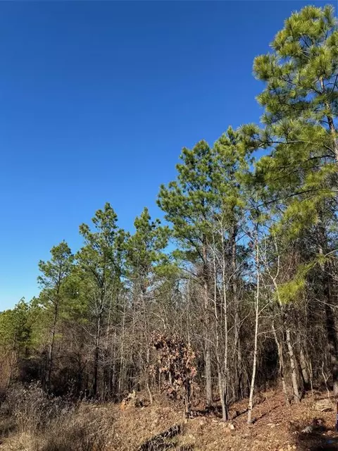 63 Acorn Ct, Broken Bow, OK 74728 photo 4