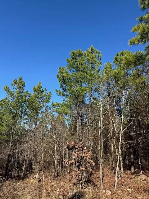 63 Acorn Ct, Broken Bow, OK 74728 photo 3