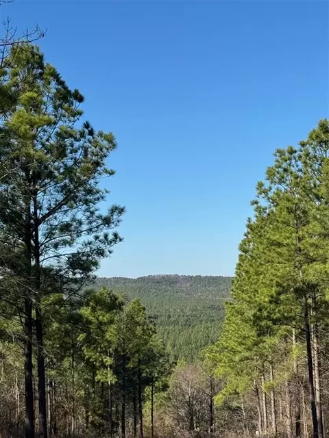85 Timber Holler Trl, Broken Bow, OK 74728
