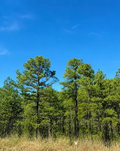 43 Western Maple Ct, Broken Bow, OK 74728