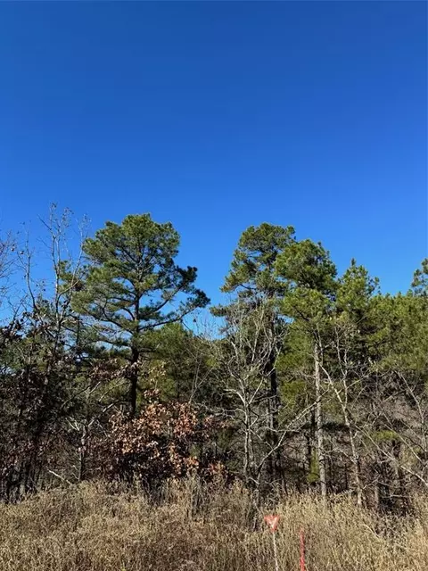 43 Western Maple Ct, Broken Bow, OK 74728
