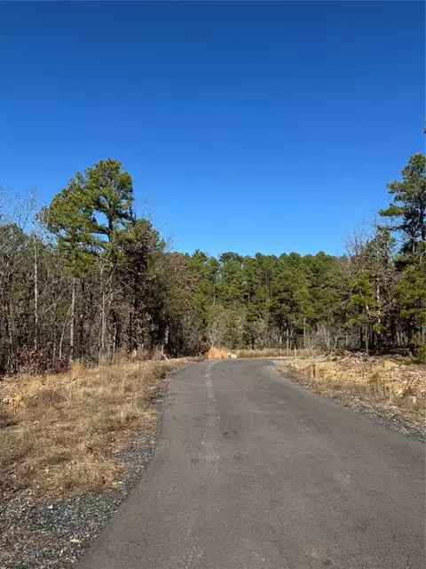 43 Western Maple Ct, Broken Bow, OK 74728 photo 6