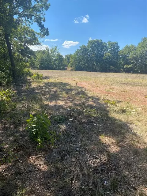 44335 Tooley Rd, Asher, OK 74826