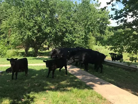 2347 E 2120 Rd, Grant, OK 74738 photo 4
