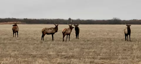 E 1480, Roosevelt, OK 73564