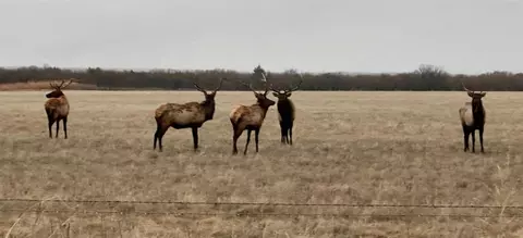 EW 1480, Cooperton, OK 73564