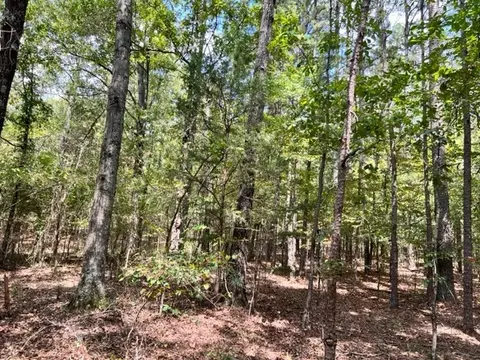 Grayling Lane, Watson, OK 74963 photo 3