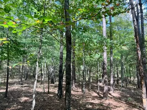 Grayling Lane, Watson, OK 74963 photo 12