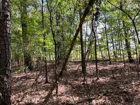 Grayling Lane, Watson, OK 74963 photo 5