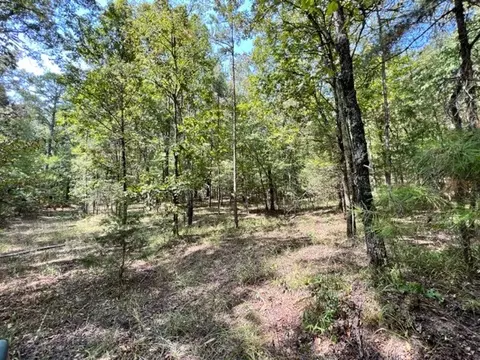 Grayling Lane, Watson, OK 74963 photo 2