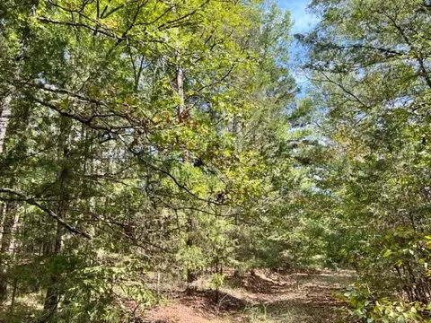Grayling Lane, Watson, OK 74963 photo 13